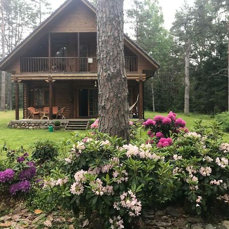 Meresihi Talu Vainupea Ngoại thất bức ảnh